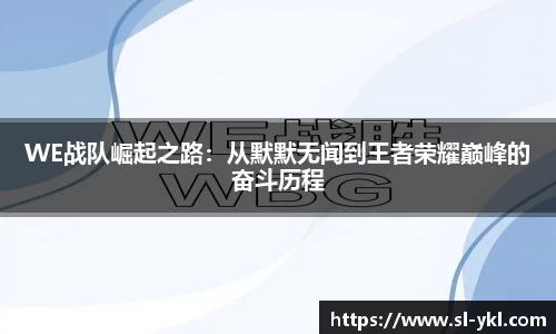 DB电竞官网